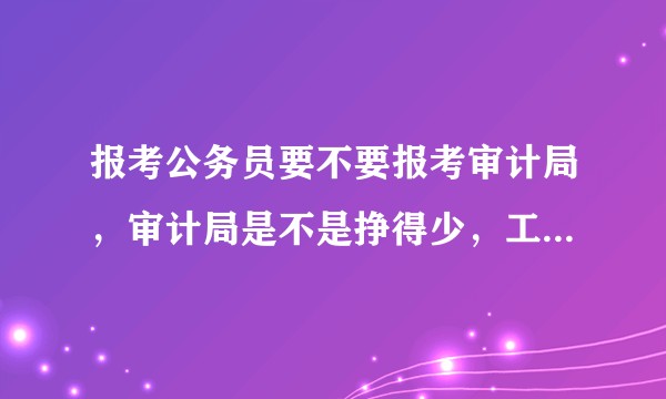 报考公务员要不要报考审计局，审计局是不是挣得少，工作强度大？