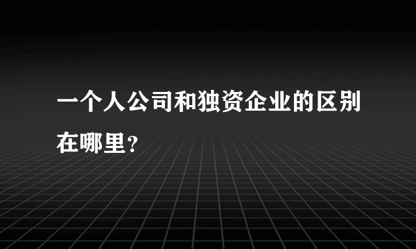 一个人公司和独资企业的区别在哪里？