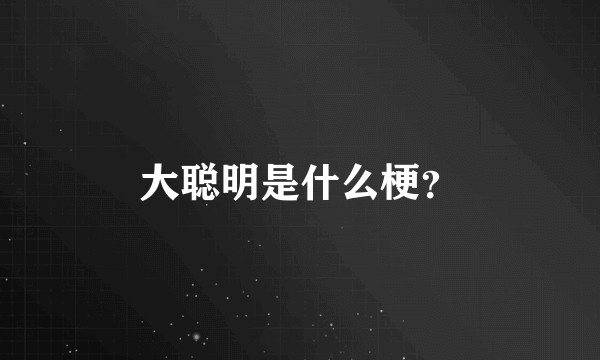 大聪明是什么梗？