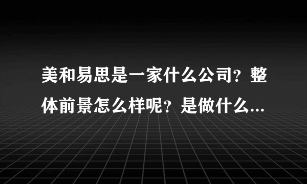 美和易思是一家什么公司？整体前景怎么样呢？是做什么的？为什么网上搜不到太多资料？