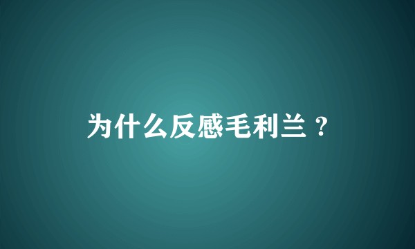 为什么反感毛利兰 ?