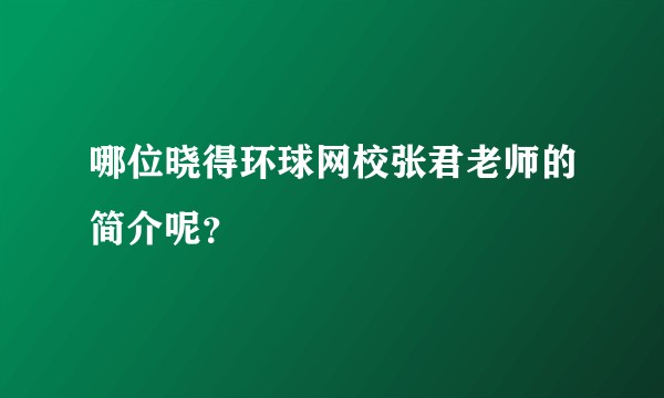 哪位晓得环球网校张君老师的简介呢？