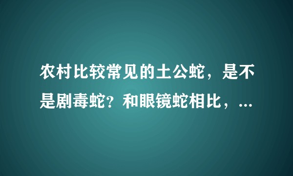 农村比较常见的土公蛇，是不是剧毒蛇？和眼镜蛇相比，哪个毒性更大？