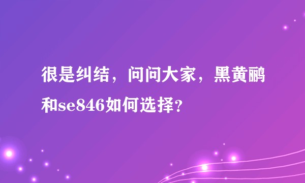 很是纠结，问问大家，黑黄鹂和se846如何选择？