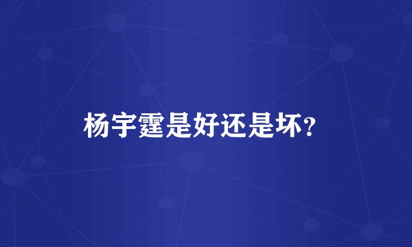 杨宇霆是好还是坏？