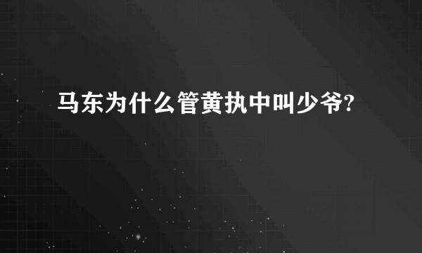 马东为什么管黄执中叫少爷?