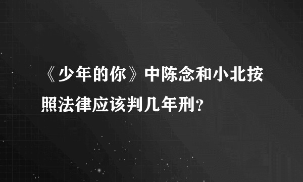 《少年的你》中陈念和小北按照法律应该判几年刑？