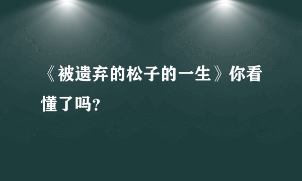 《被遗弃的松子的一生》你看懂了吗？
