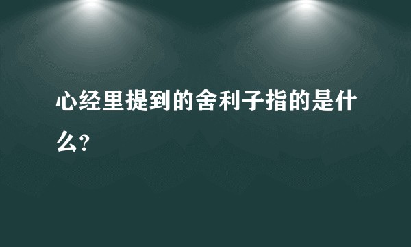 心经里提到的舍利子指的是什么？
