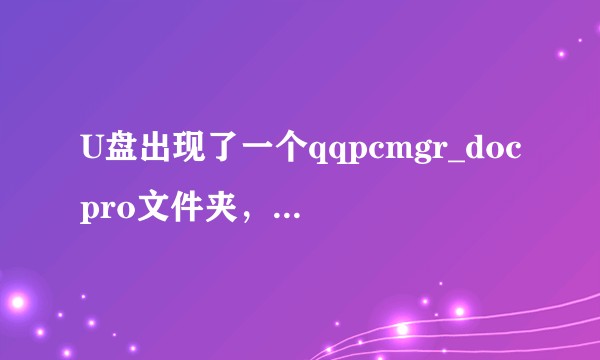 U盘出现了一个qqpcmgr_docpro文件夹，1G多，请问这是个什么文件？可以删吗？