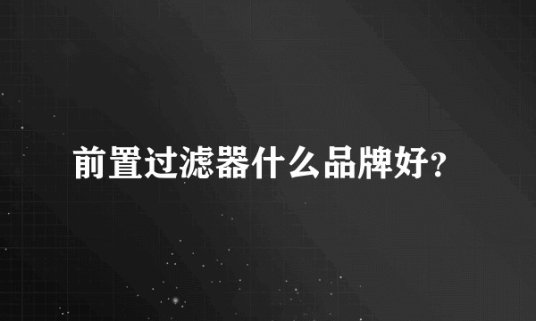 前置过滤器什么品牌好？