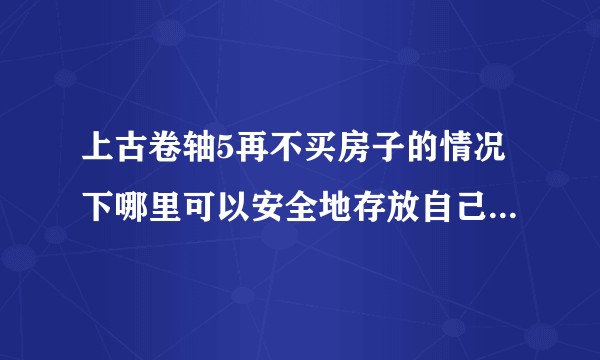 上古卷轴5再不买房子的情况下哪里可以安全地存放自己的东西?