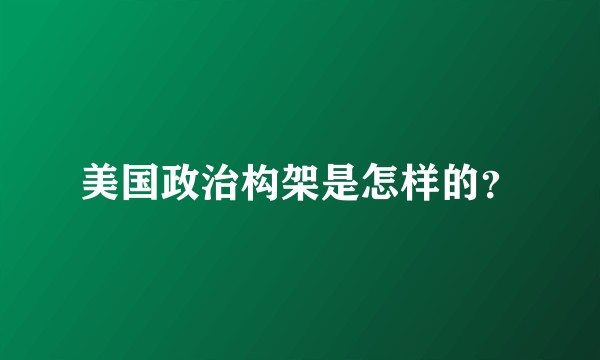 美国政治构架是怎样的？