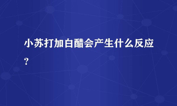 小苏打加白醋会产生什么反应？