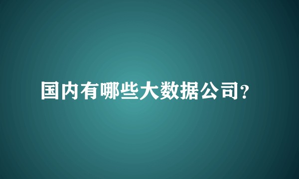 国内有哪些大数据公司？