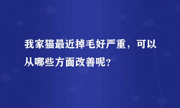 我家猫最近掉毛好严重，可以从哪些方面改善呢？