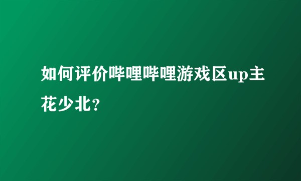 如何评价哔哩哔哩游戏区up主花少北？