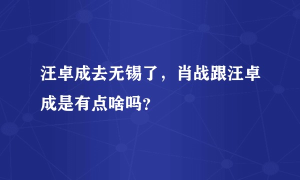 汪卓成去无锡了，肖战跟汪卓成是有点啥吗？