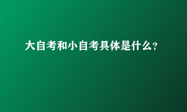 大自考和小自考具体是什么？