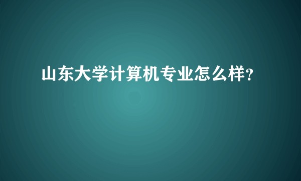山东大学计算机专业怎么样？
