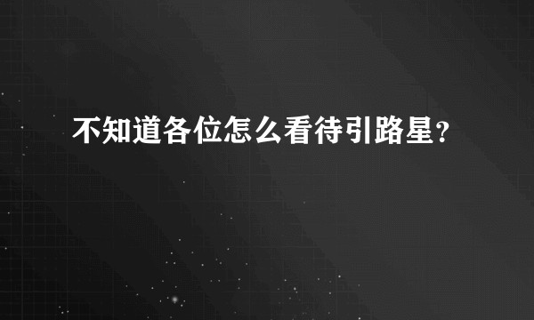 不知道各位怎么看待引路星？