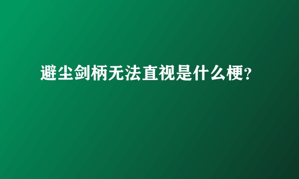 避尘剑柄无法直视是什么梗？