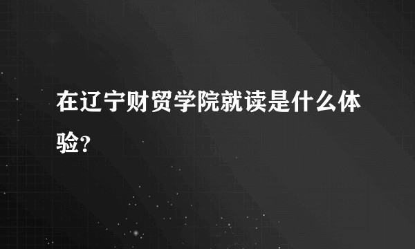 在辽宁财贸学院就读是什么体验？