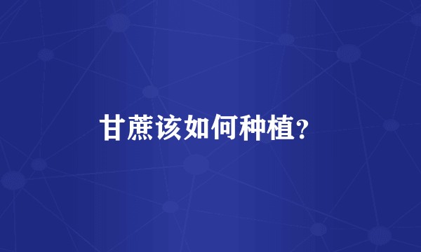 甘蔗该如何种植?