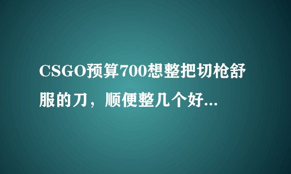 CSGO预算700想整把切枪舒服的刀，顺便整几个好看便宜的枪皮，有推荐吗？