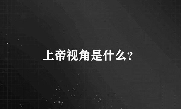 上帝视角是什么？