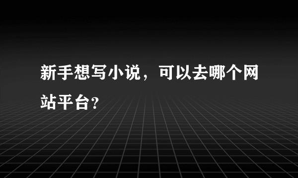 新手想写小说，可以去哪个网站平台？