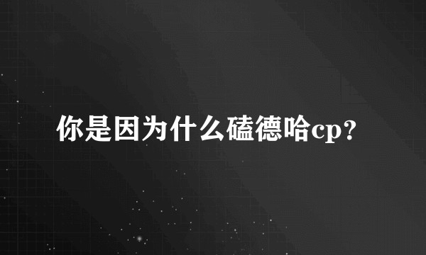 你是因为什么磕德哈cp？