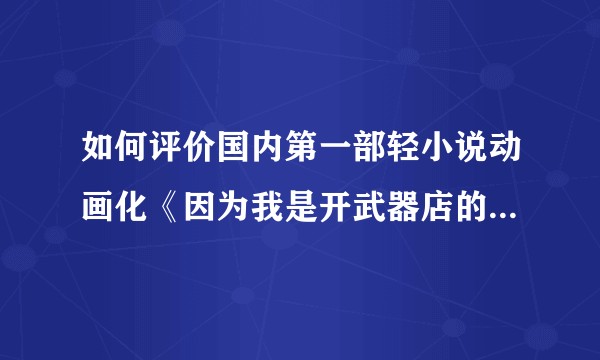 如何评价国内第一部轻小说动画化《因为我是开武器店的大叔 》？