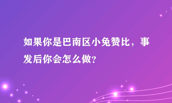 如果你是巴南区小兔赞比，事发后你会怎么做？