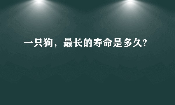 一只狗，最长的寿命是多久?