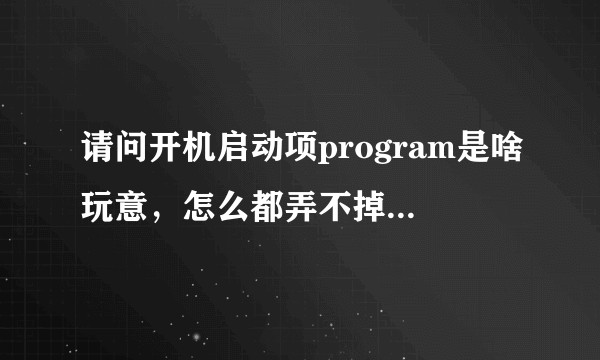 请问开机启动项program是啥玩意，怎么都弄不掉，愁死了，有没有大佬可以指点我一下?