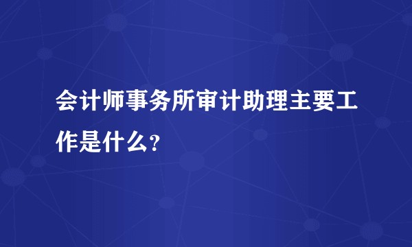 会计师事务所审计助理主要工作是什么？