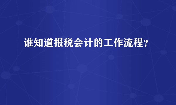 谁知道报税会计的工作流程？