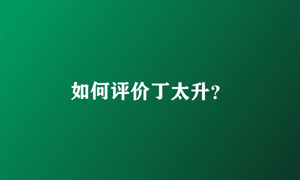 如何评价丁太升？