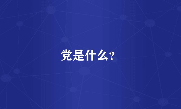 党是什么？