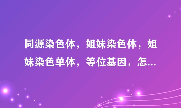 同源染色体，姐妹染色体，姐妹染色单体，等位基因，怎么看，最好有图解释？