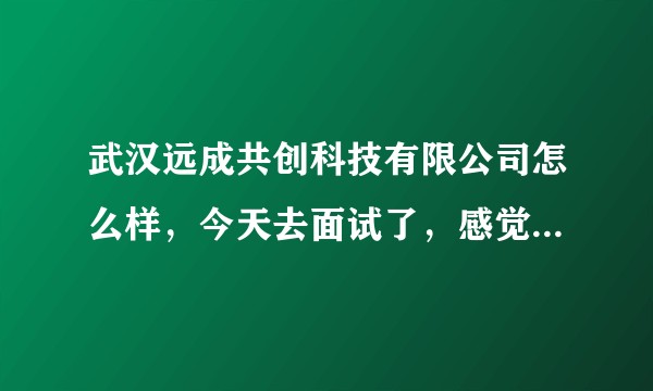 武汉远成共创科技有限公司怎么样,今天去面试了,感觉公司地点比较隐蔽,在如家酒店后面,感觉不太靠谱啊?