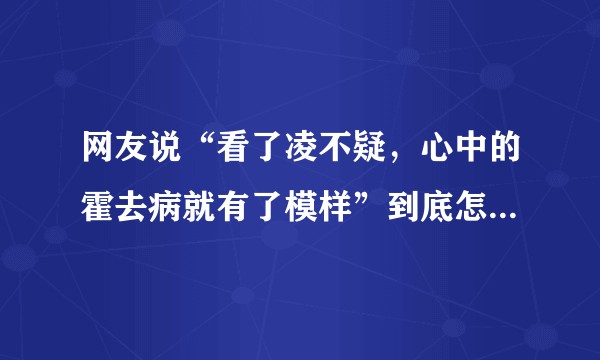 网友说“看了凌不疑，心中的霍去病就有了模样”到底怎样回答才能让网友知道霍去病就是霍去病没有人能代替?
