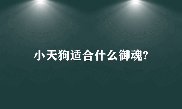 小天狗适合什么御魂?