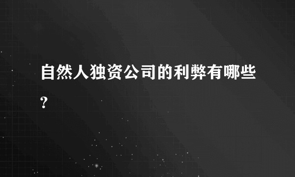 自然人独资公司的利弊有哪些？