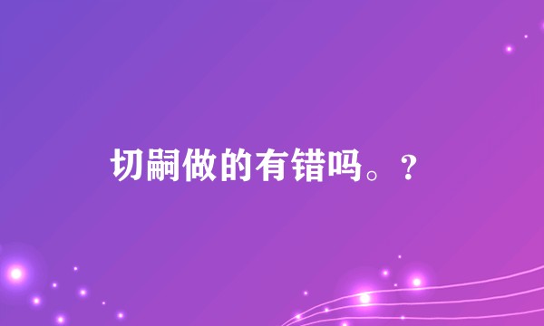 切嗣做的有错吗。？