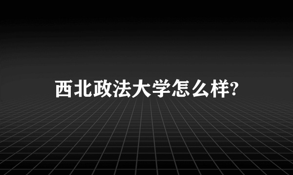 西北政法大学怎么样?