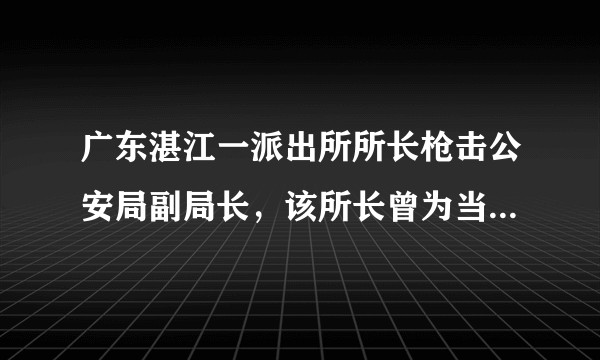 广东湛江一派出所所长枪击公安局副局长，该所长曾为当地抗疫先锋，还有哪些值得关注的信息？