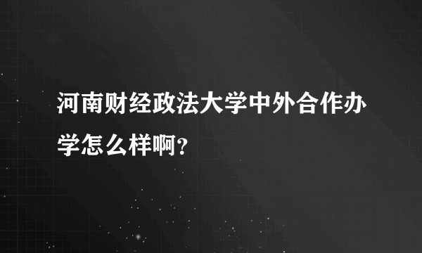 河南财经政法大学中外合作办学怎么样啊？