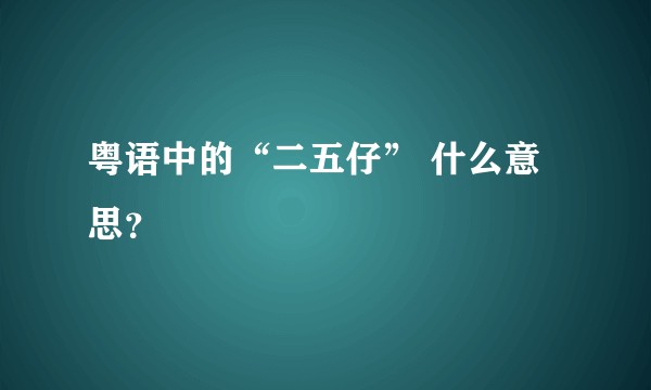 粤语中的“二五仔” 什么意思？